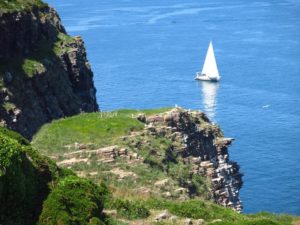 Joli point de vue au Cap Fréhel sur la falaise et l'océan