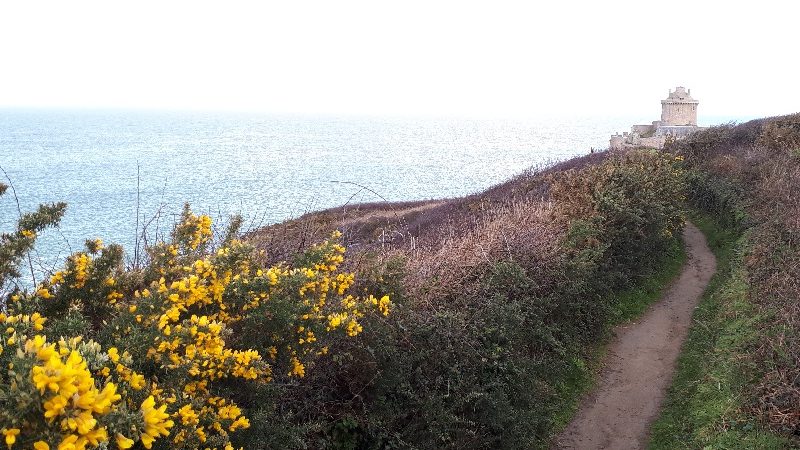 Superbe randonnée iodée de 5 km, 2h45 aller-retour entre la pointe du cap et celle du Fort la Latte