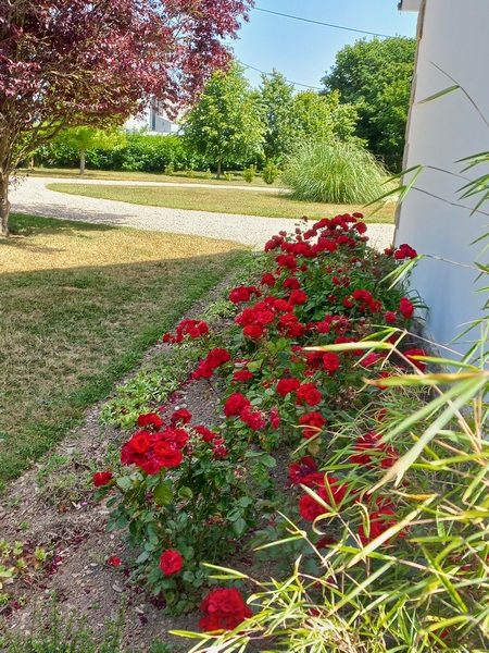 Maison de campagne avec grand jardin fleuri, arboré et clos.